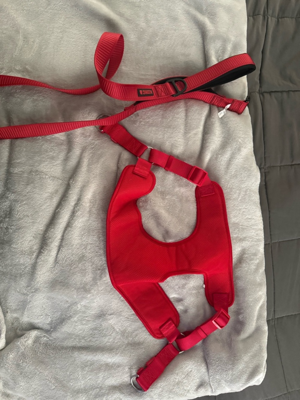 Source Unknown Red Padded Dog Harness with Matching Leash
